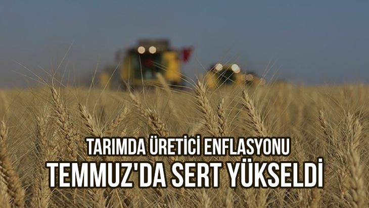 Tarım-Üfe, Temmuz’Da Aylık Bazda Yüzde 8,03 Artarken, Yıllık Bazda Yüzde 62,48 Yükseldi.