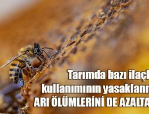 Tarımda Bazı Ilaçların Kullanımının Yasaklanması Arı Ölümlerini De Azaltacak