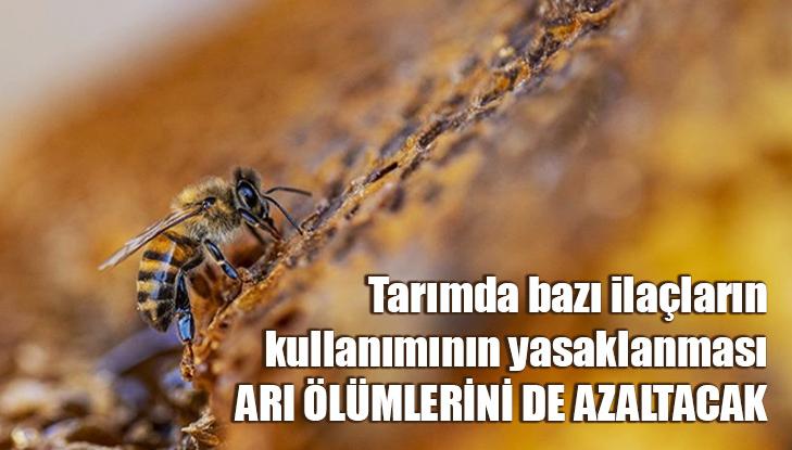 Tarımda Bazı Ilaçların Kullanımının Yasaklanması Arı Ölümlerini De Azaltacak