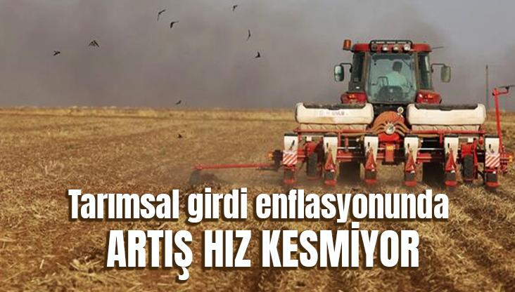 Tarımsal Girdi Enflasyonunda Artış Hız Kesmiyor