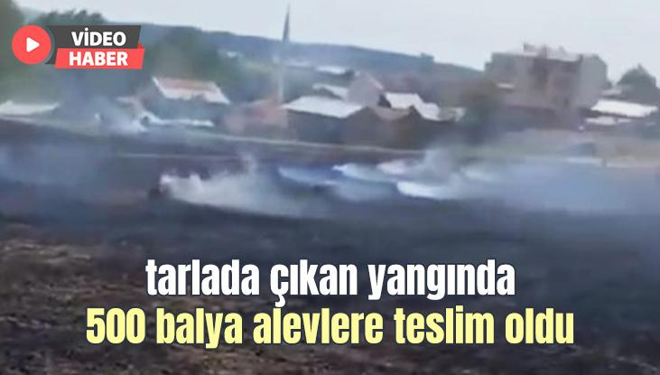 Tarlada Çıkan Yangında 500 Balya Alevlere Teslim Oldu