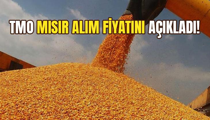 Tmo Mısır Alım Fiyatını Açıkladı