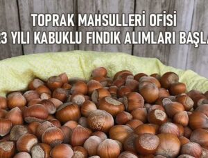 Toprak Mahsulleri Ofisi 2023 Yılı Kabuklu Fındık Alımları Başladı