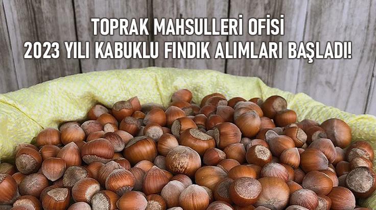 Toprak Mahsulleri Ofisi 2023 Yılı Kabuklu Fındık Alımları Başladı