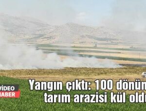 Yangın Çıktı: 100 Dönümlük Tarım Arazisi Kül Oldu