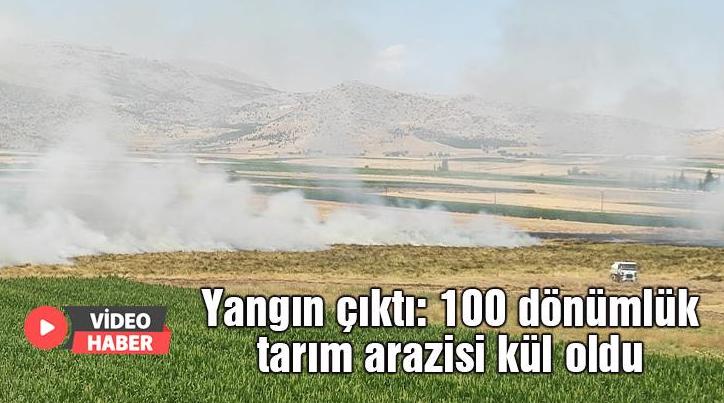 Yangın Çıktı: 100 Dönümlük Tarım Arazisi Kül Oldu