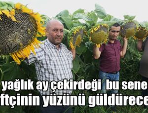 Ay Çekirdeği Çiftçinin Yüzünü Güldürecek