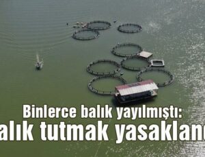 Binlerce Balık Yayılmıştı, Balık Tutmak Yasaklandı