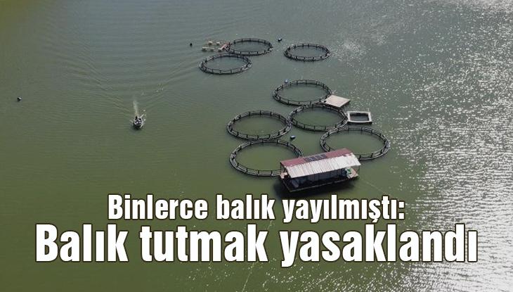 Binlerce Balık Yayılmıştı, Balık Tutmak Yasaklandı