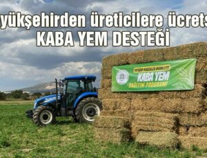 Büyükşehirden Üreticilere Ücretsiz Kaba Yem Desteği