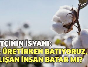 Çiftçinin Isyanı: Biz Üretirken Batıyoruz, Çalışan Insan Batar Mı?