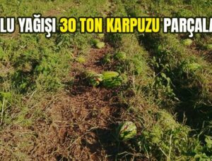 Dolu Yağışı 30 Ton Karpuzu Parçaladı