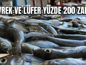 Levrek Ve Lüfer Yüzde 200 Zamlı