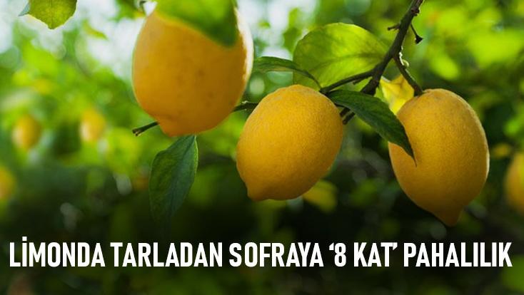 Limonda Tarladan Sofraya 8 Kat Pahalılık