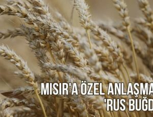 Mısır’A Özel Anlaşmayla ‘Rus Buğdayı’