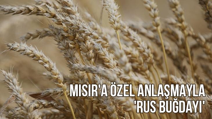 Mısır’A Özel Anlaşmayla ‘Rus Buğdayı’