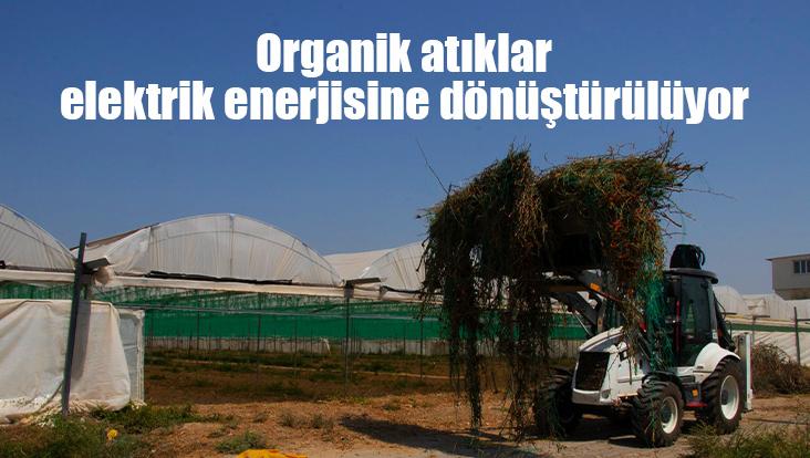 Organik Atıklar Elektrik Enerjisine Dönüştürülüyor