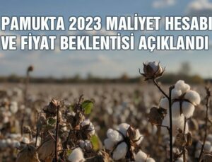 Pamukta 2023 Maliyet Hesabı Ve Fiyat Beklentisi Açıklandı