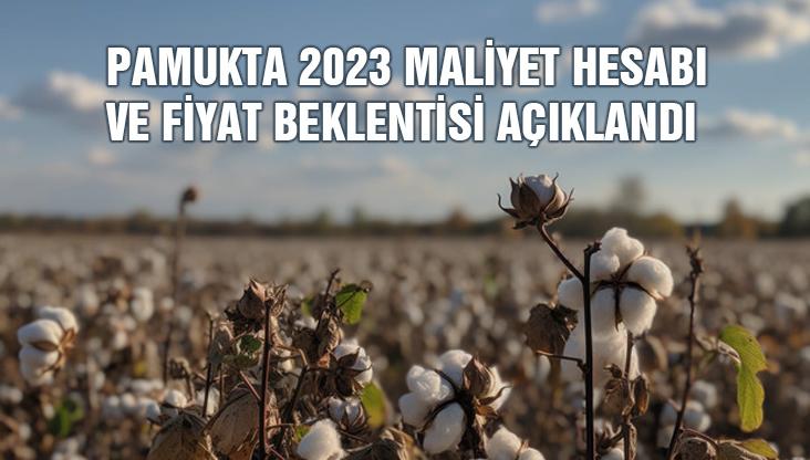 Pamukta 2023 Maliyet Hesabı Ve Fiyat Beklentisi Açıklandı