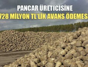 Pancar Üreticisine 728 Milyon Tl’Lik Avans Ödemesi