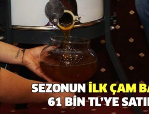 Sezonun Ilk Çam Balı 61 Bin Tl’ye Satıldı