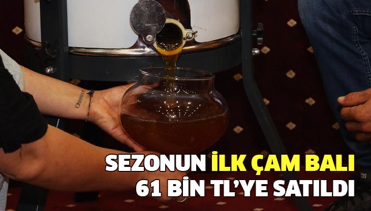 Sezonun Ilk Çam Balı 61 Bin Tl’ye Satıldı