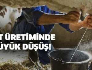 Süt Üretiminde Düşüş Devam Ediyor