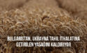 Bulgaristan, Ukrayna tahıl ithalatına getirilen yasağını kaldırıyor