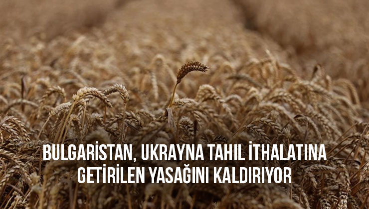 Bulgaristan, Ukrayna tahıl ithalatına getirilen yasağını kaldırıyor