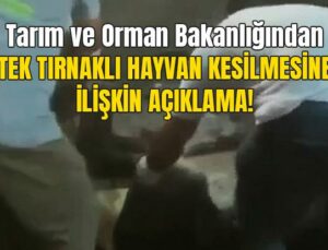 Tarım Ve Orman Bakanlığından Tek Tırnaklı Hayvan Kesilmesine Ilişkin Açıklama