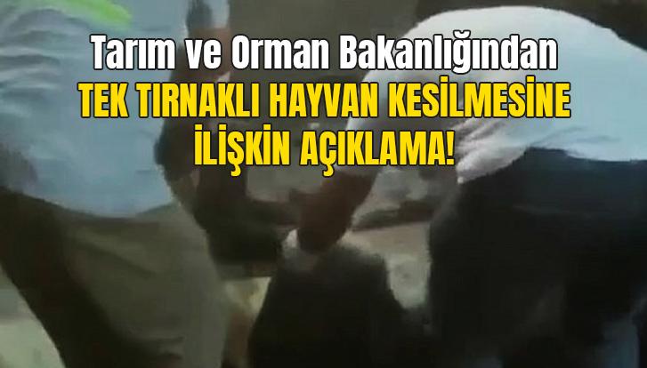 Tarım Ve Orman Bakanlığından Tek Tırnaklı Hayvan Kesilmesine Ilişkin Açıklama