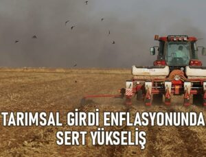 Tarımsal Girdi Enflasyonunda Sert Yükseliş