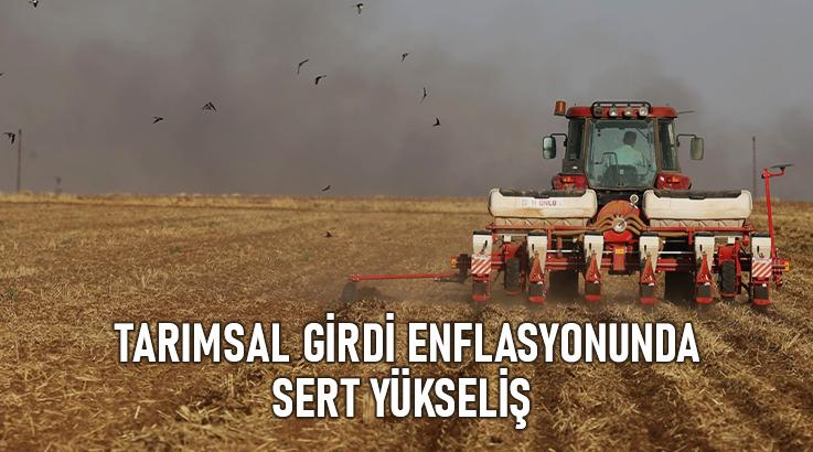 Tarımsal Girdi Enflasyonunda Sert Yükseliş