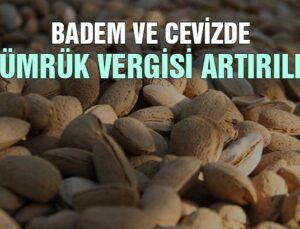 Badem Ve Cevizde Gümrük Vergisi Artırıldı