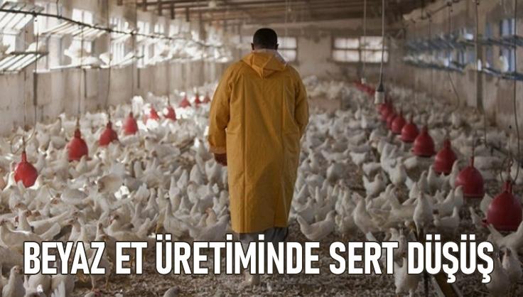 Beyaz Et Üretiminde Sert Düşüş