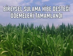 Bireysel Sulama Hibe Desteği Ödemeleri Tamamlandı