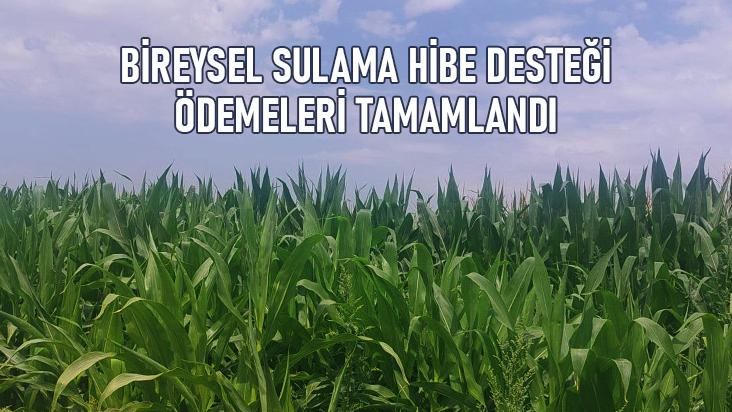 Bireysel Sulama Hibe Desteği Ödemeleri Tamamlandı