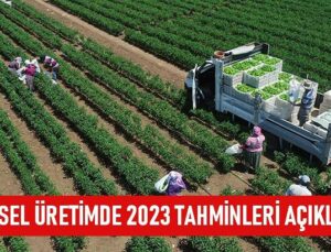 Bitkisel Üretimde 2023 Tahminleri Açıklandı