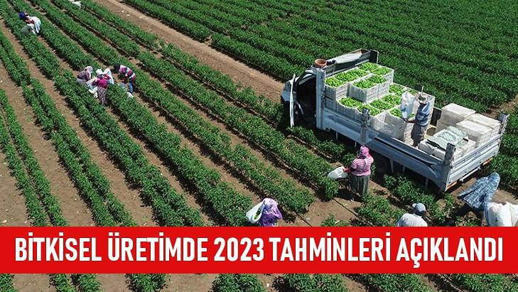 Bitkisel Üretimde 2023 Tahminleri Açıklandı