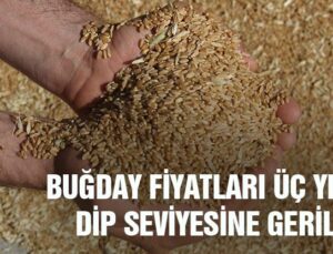 Buğday Fiyatları Üç Yılın Dip Seviyesine Geriledi