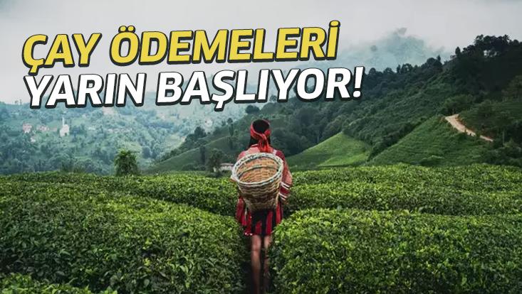 Çay Ödemeleri Yarın Başlıyor