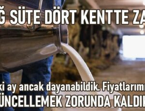 Çiğ Süte Dört Kentte Zam