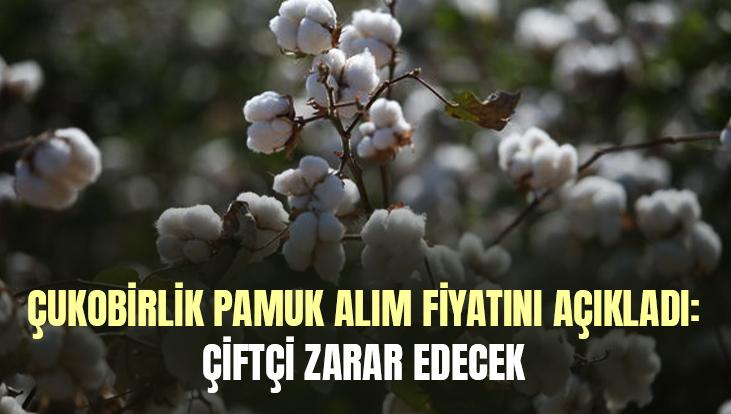 Çukobirlik Pamuk Alım Fiyatını Açıkladı: Çiftçi Zarar Edecek