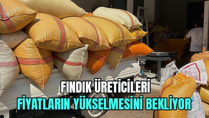 Fındık Üreticileri Fiyatların Yükselmesini Bekliyor