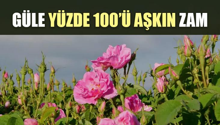 Güle Yüzde 100’Ü Aşkın Zam