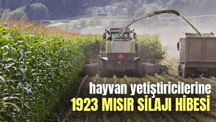 Hayvan Yetiştiricilerine 1923 Mısır Silajı Hibesi 