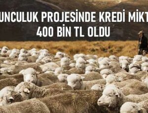 Koyunculuk Projesinde Kredi Miktarı 400 Bin Tl Oldu