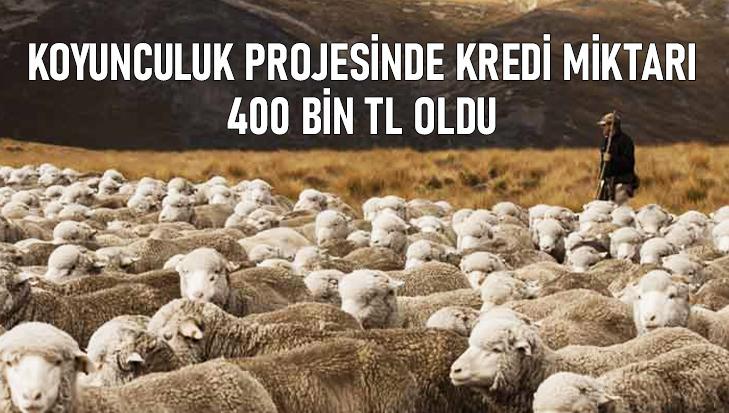 Koyunculuk Projesinde Kredi Miktarı 400 Bin Tl Oldu