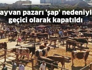 Nevşehir Hayvan Pazarı ‘Şap’ Nedeniyle Geçici Olarak Kapatıldı