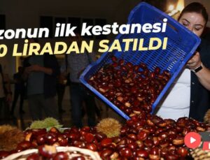 Sezonun Ilk Kestanesi 350 Liradan Satıldı